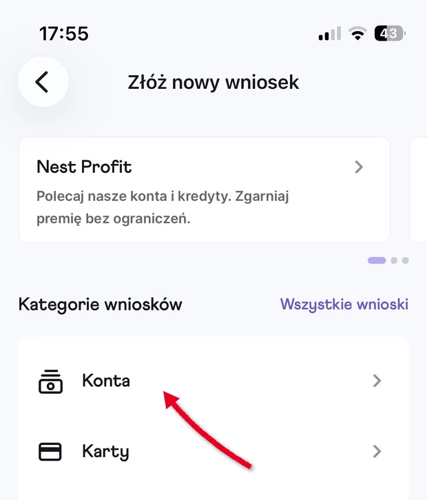 Aplikacja Nest Banku: kategorie wniosków, Konta